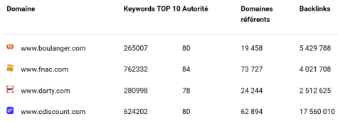 audit seo concurrence